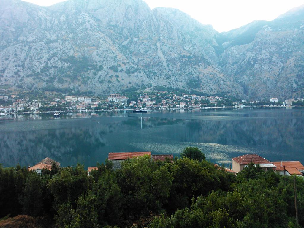 Villa "M Family" Kotor Exterior photo